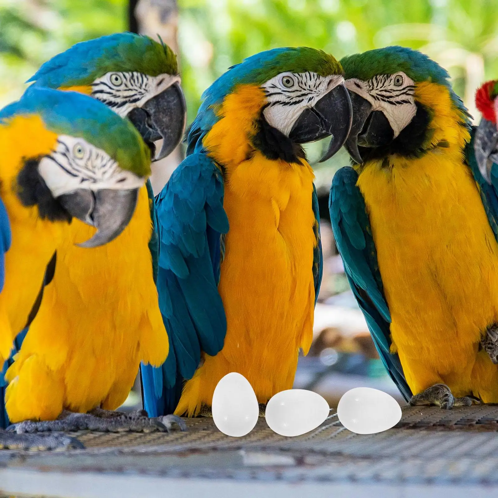 30 Pcs Parrot Fake Eggs Artificial Bird Egg Hatching Aid Supplies Solid Pigeon Egg Breeding Tools Pet Products
