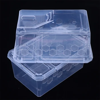 Transparent Reptile Insect Breeding Box 1