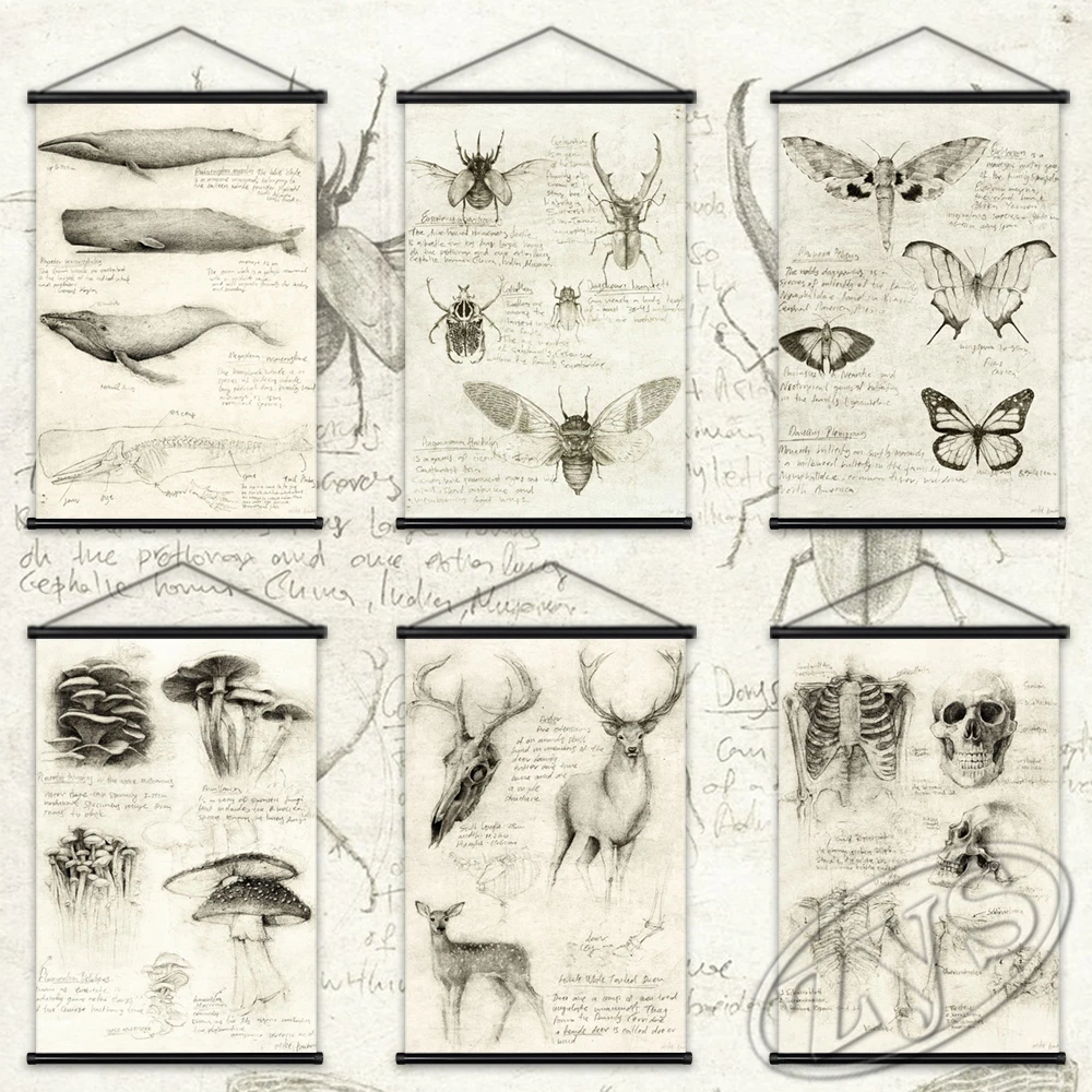 

Old Sketch Studies Poster Art Animal Hanging Scrolls Mural Canvas Paintings Wall Picture Living Room Child Bedroom Home Decor