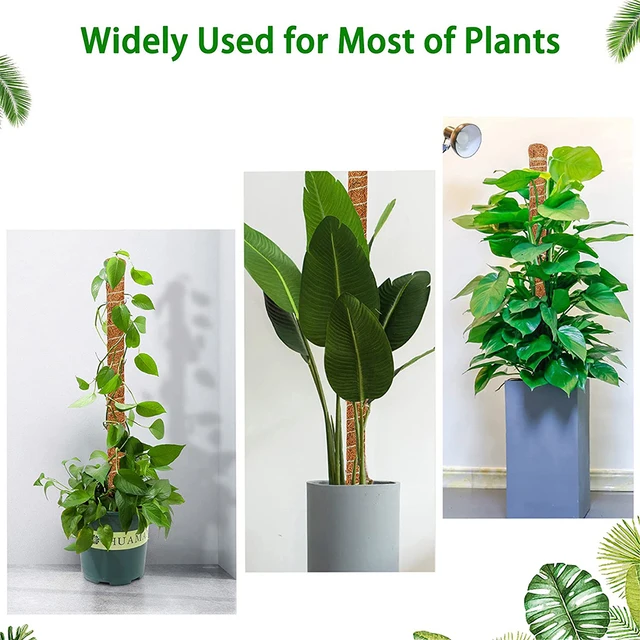 Diy Hajlítható Növényoszlopok Növényekhez Monstera Botok Támogatják A Beltéri Kiképzést, Hogy Felfelé, Kézzel Készített Tétek Mászáshoz Nőjenek - Image 6
