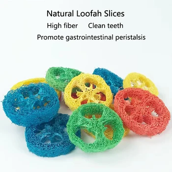 10pcs Natural Loofah Slice Tooth Grinding Cleaning Chew Toy Small Pets Toys For Hamster Rabbit Grinding.jpg