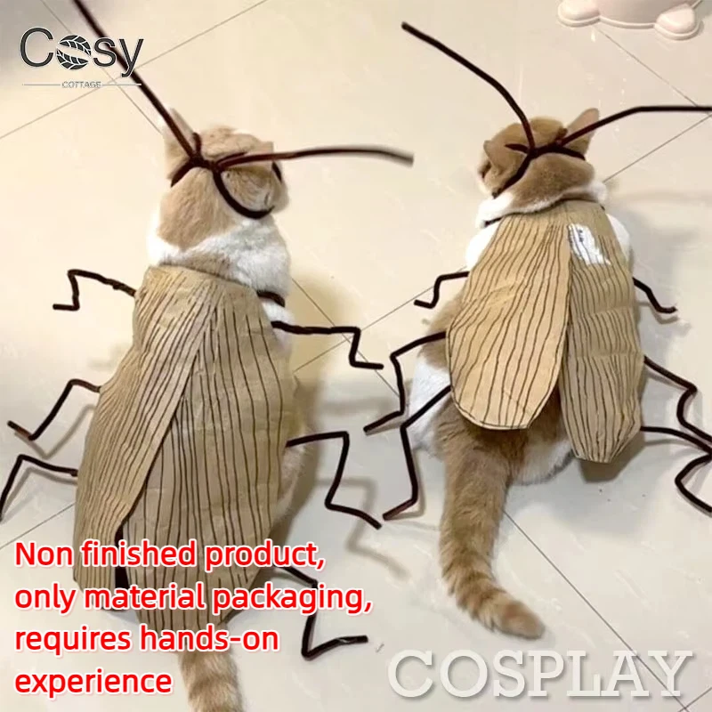 3605-95218f.jpg Cat cockroach costume
