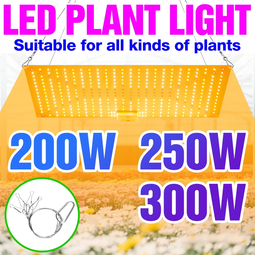 300W LED Full Spectrum Grow Light Indoor Quantum Board Plant Hydroponic ...