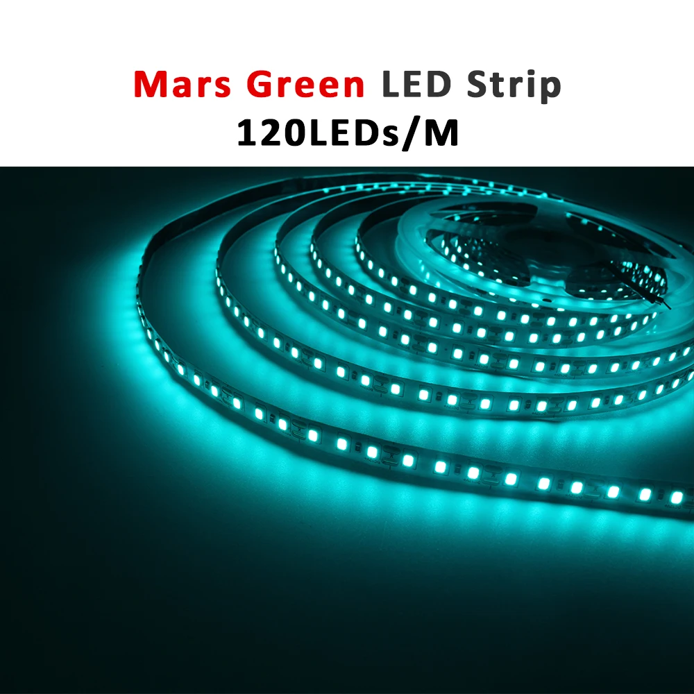 ตัวเลือกสินค้า แถบไฟ LED ยืดหยุ่น 2835 สีอุ่น ตกแต่งบ้าน
