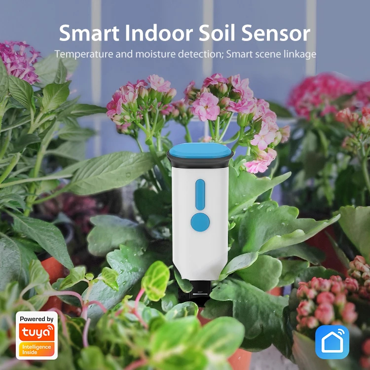 Tuya Smart Bodentester WLAN Bodenfeuchtigkeitsmesser Temperatur- und Feuchtigkeitsmesser Garten-Thermometer – Detail 4