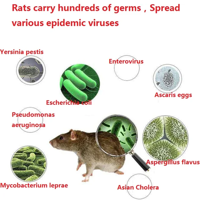 Hatékony Egér Patkány Raticid Gyógyszerek, Megölve A Csali Patkánymérgező Egerek Gyógyszerek Power Patkánypatorító Megölése Az Otthoni Kert Számára - Image 2