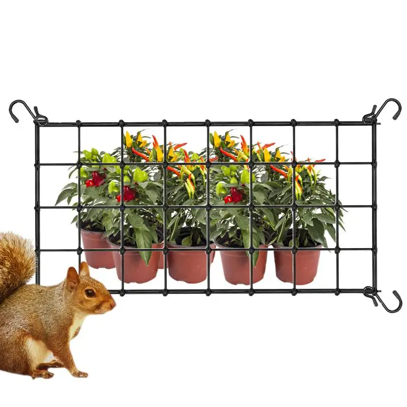 רתיליס רשת רשת רשת רשת רשת תמיכה אלסטיות לגינון צמחים ציוד מרפסת גן בחצר האחורית טיפוס צמחים נטו