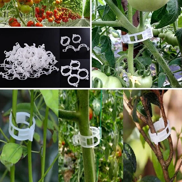 Növénytámogató Klipek Kerti Támogató Függőlegesen És Készítsenek Növényeket Csőzsikárok Szőlőbab Zöldségek Gyümölcsök Rózsa Növekszenek Egyenesen - Image 3
