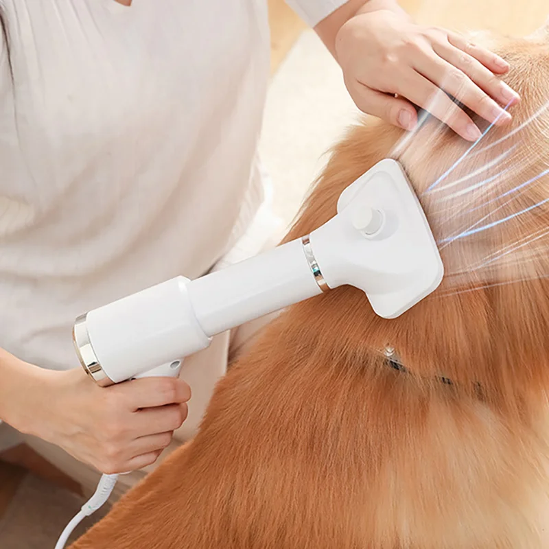 Dog Dryer 110v 220v 2 In 1 Comb Pet Hair Dryers Cat Puppy Grooming Dogs