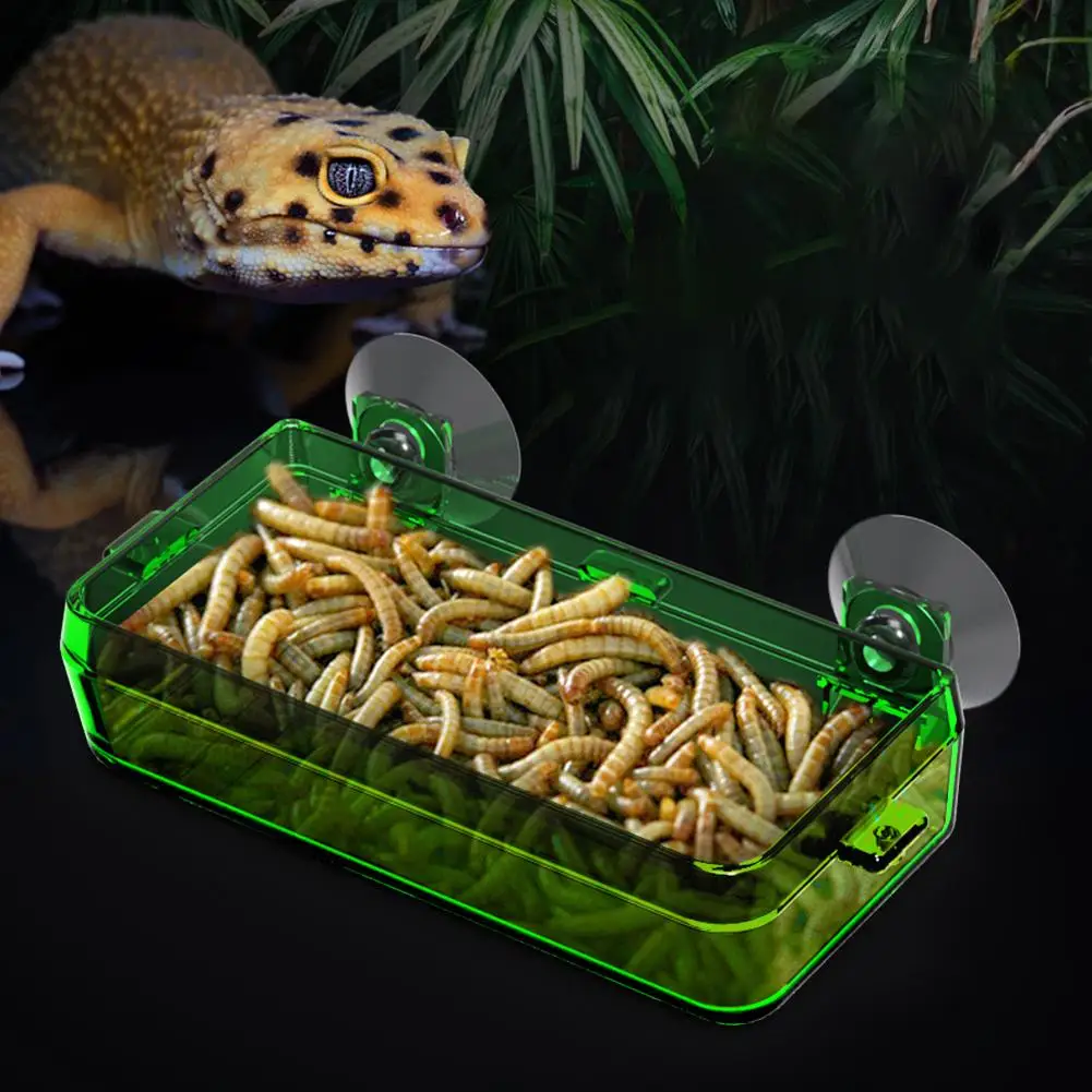 Reptile Transparent Feeder Anti-escape Food Bowl Worm Live Container With Strong Suction Cups Pet Supplies Reptile Feed Bowls