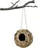 Hummingbird Natural Grass Ball Shape Bird Nest