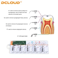 Détartreur dentaire à ultrasons, contrôle sans fil pour les dents avec LED, pièce à main détachable, outils de nettoyage d'hygiène buccale 5
