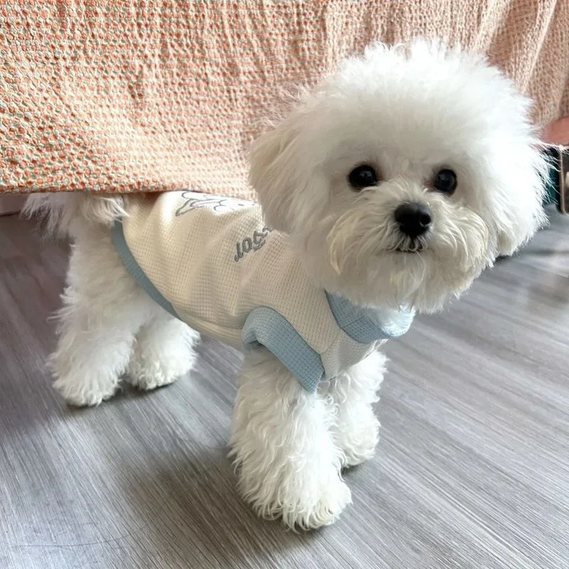 여름 얇은 애완견 강아지 고양이 의류 빅베어 테디 포메라니안 몰티즈 소형견 털..