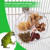 1pc Acrylic Interactive Parrot Toy Rotating Treat Dispenser for Pet Parrot Bird Cage Decoration Mental Stimulation Entertainment 6
