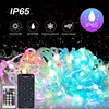 WS2812B LED String Light Smart Bluetooth Remote Control RGBIC Fairy Lamp USB Waterproof For Christmas Tree Lights Home Decor 1