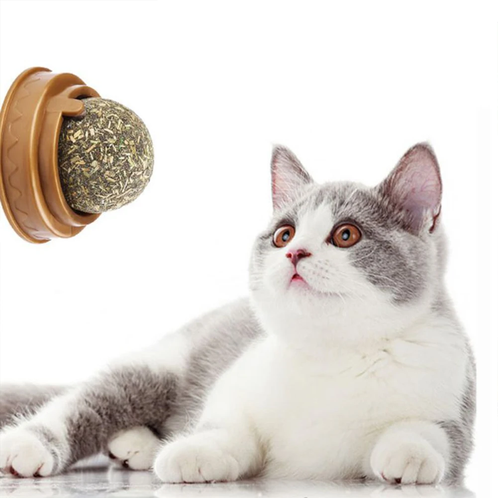 Rotatable Edible Catnip Ball Stick 2