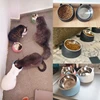 Cat Dog Bowl 15 Degrees Raised Stainless Steel Non Slip Puppy Base Cat Food Drinking Water Feeder Tilt Safeguard Neck Pet Bowl 3