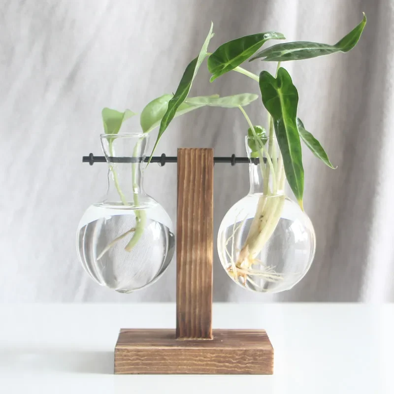Hydroponic Flower Pot Flower Pot Flower Vase Plant Pot Terrarium Plant Vases Hydroponic