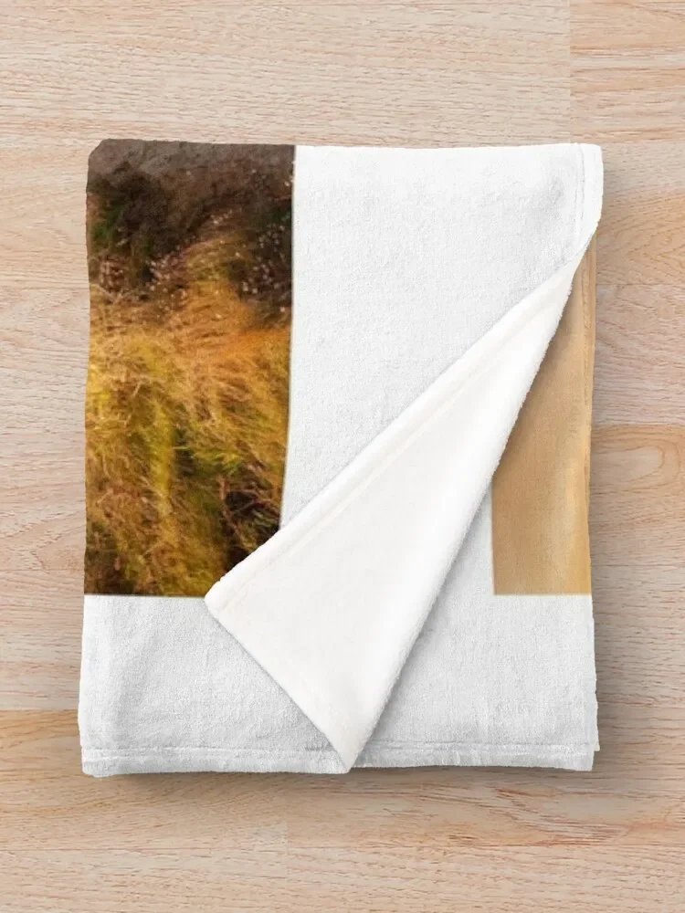 ȣ�� �ں� ������ ���, ǫ���ϰ� ���� ������ ķ�� �غ� ���