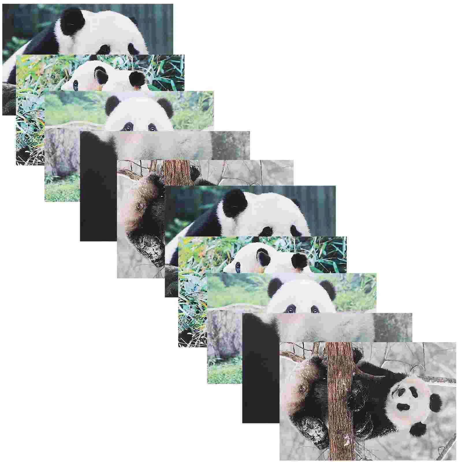 

10 Pcs Babyshower Thank You Cards Animal Greeting Panda Postcards Thanksgiving Gift