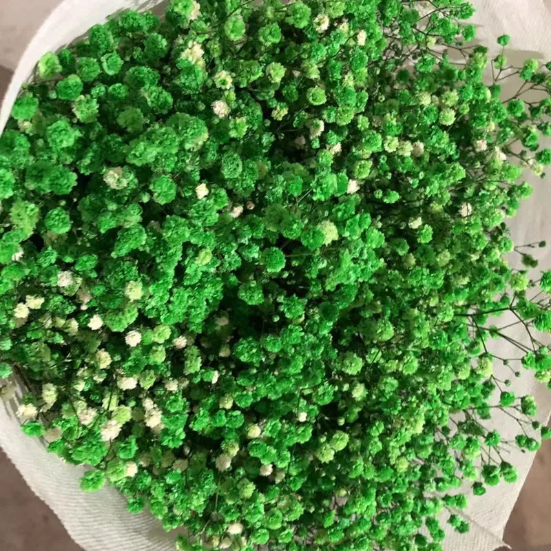 

100gGypsophila Baby Breath Million Stars Natural Plant Preserved Dried Flower Christmas Garland Valentine's Day Gift Christmas T
