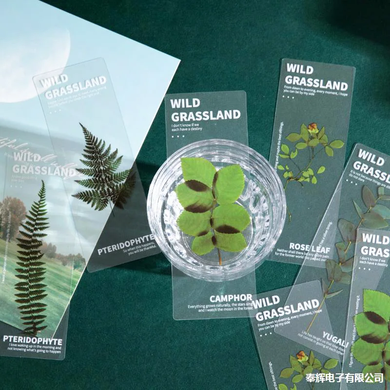 5pcs Natural Plants Flower Series Bookmark Pvc Translucent Reading Book Mark Retro Book Page Marker Stationery Supplies