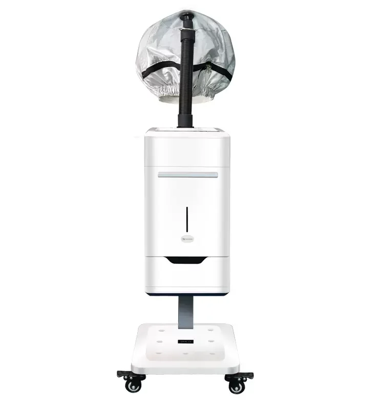 

Hair care sprayer hair care clubhouse hairdressing SPA baking oil machine hair care instrument negative ion nano hydrating steam