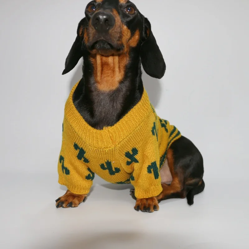 Perro Vestido Teckel NiÃ±a Yorkshire Toy Ropa Para Perro Yorkshire