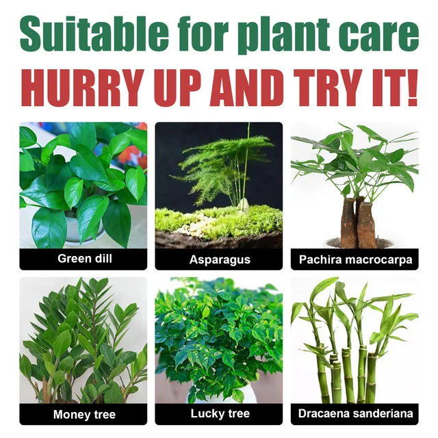 Növényi Tápanyagoldat Gyorsan Csereprés Virágzöld Levelek Zöldségek Termesztése Műtrágya Növény Étel Zöld Fű Spray 30 Ml - Image 5