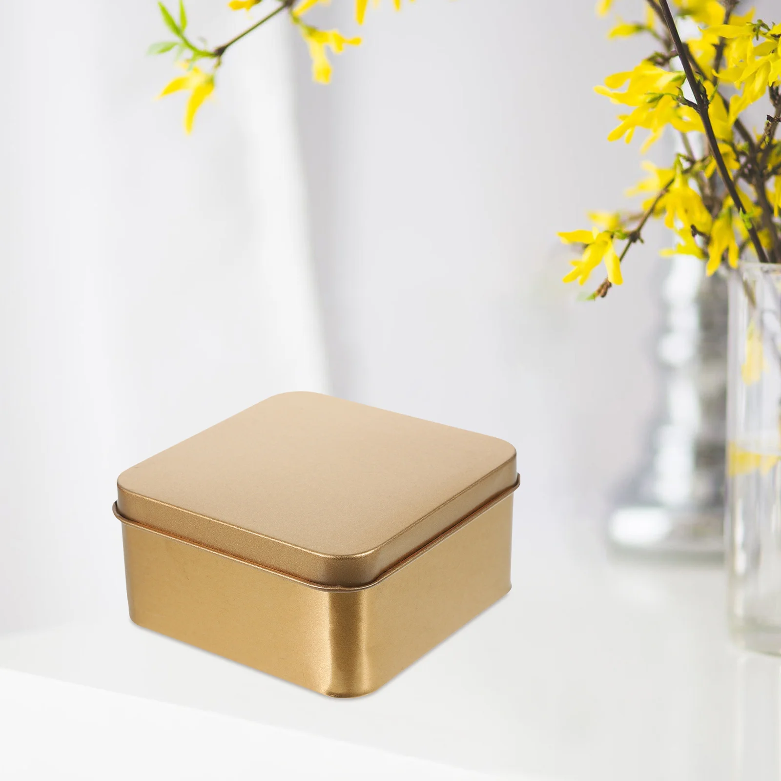 

10Pcs Tin Box with Lid Tinplate Tea Jar Loose Tea Leaf Canister Candy Jar Sealed Tea Jar