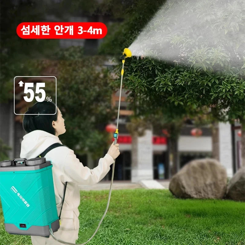    ,   й, Ƭ ͸ 賶,  ̽Ʈ й
