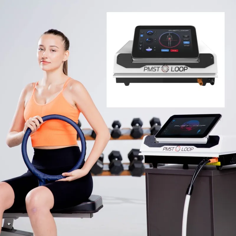 Pemf Professionale Artrite Lesioni Sportive Pmst Loop Machine Equine Pemf Device