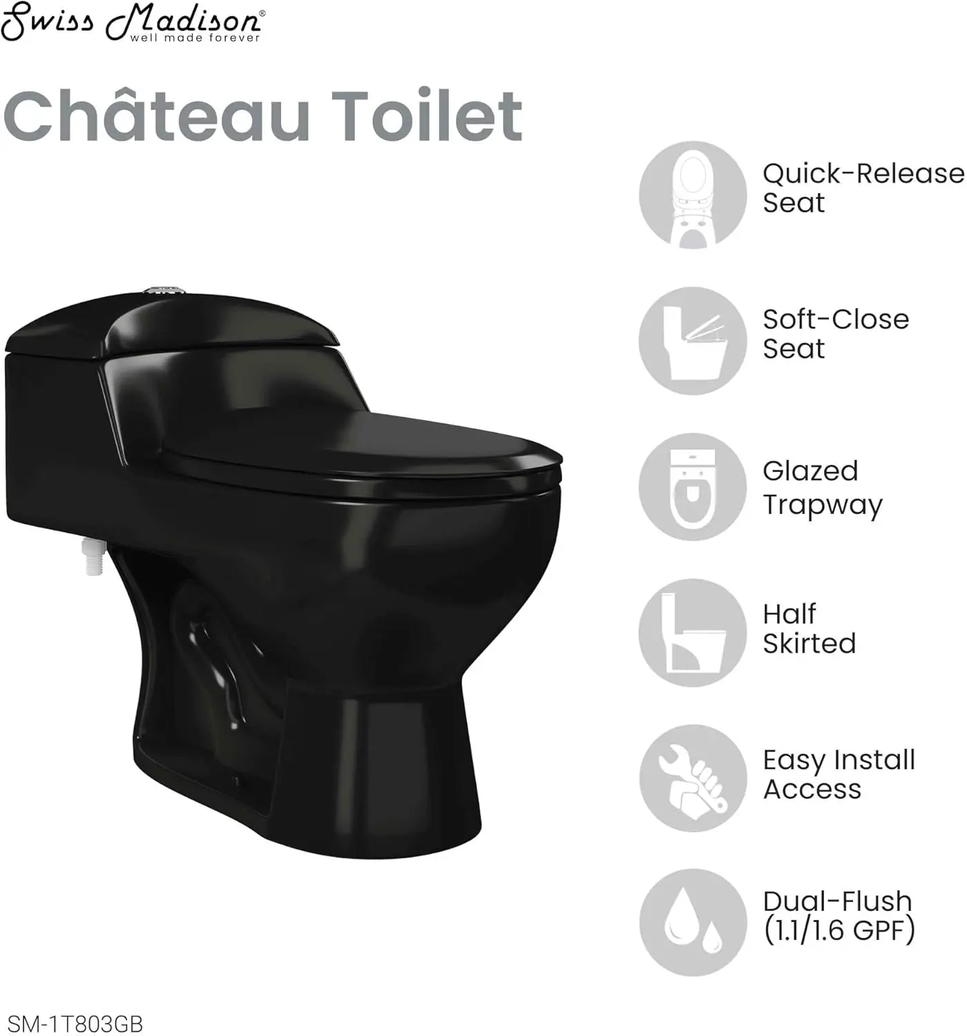 Chateau One-Piece Elongated Toilet Dual-Flush in Glossy Black 1.1/1.6 gpf Soft-Close Quick-Release Toilet Seat 6