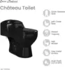Chateau One-Piece Elongated Toilet Dual-Flush in Glossy Black 1.1/1.6 gpf Soft-Close Quick-Release Toilet Seat 6
