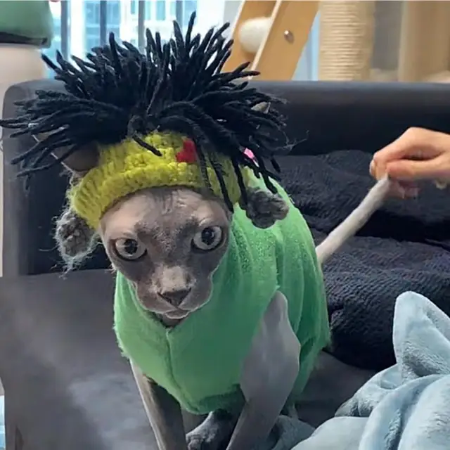 Funny Pet Hat Sphynx Devon Rex Cat Dog Headwear Punk Reggae Rock Style Cosplay Costume Decoration Accessory 5