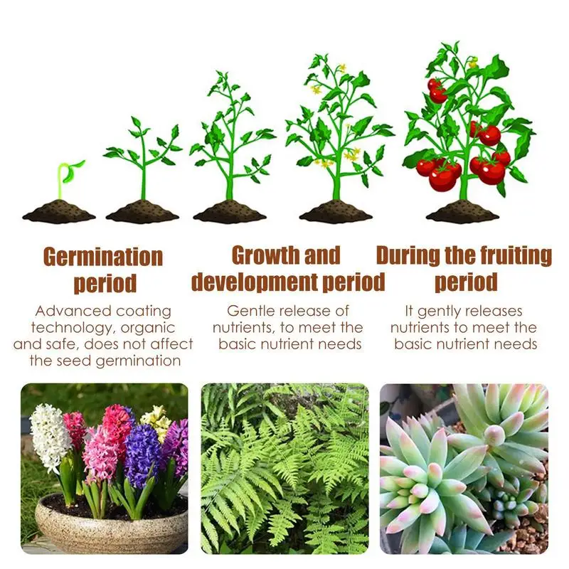 120days Special Controlled Slow Release Fertilizer For Succulent Plant Universa Nutrient Granular Fertilizer For Potted Plants images - 6