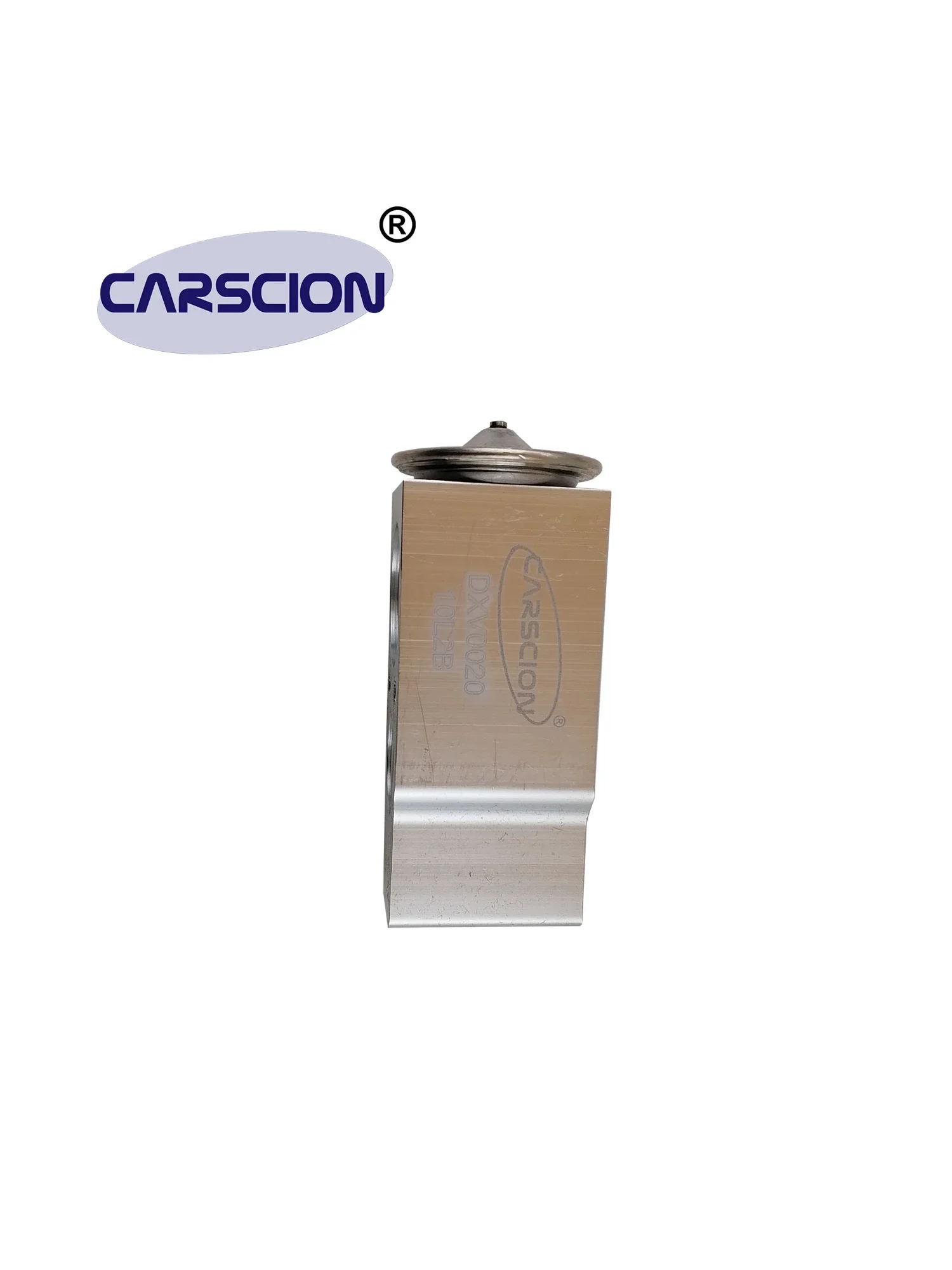 CARSCION Expansion Valve,Fit VOLVO S60,V60,XC60,S80,V70/III/Mk,XC70,Land Rover,Freelander 2,31291817,30780313,30733930,DXV0020