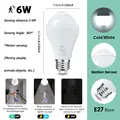6W Cold White