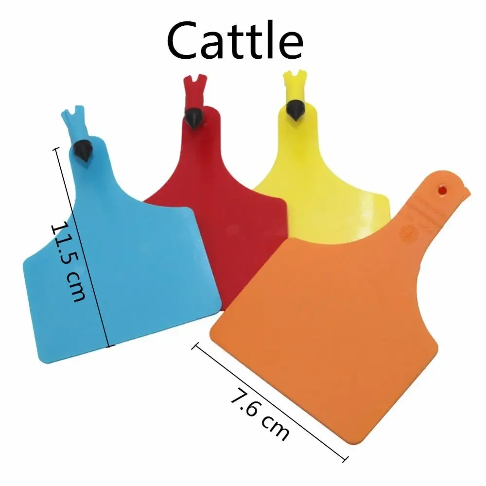 Cattle#2