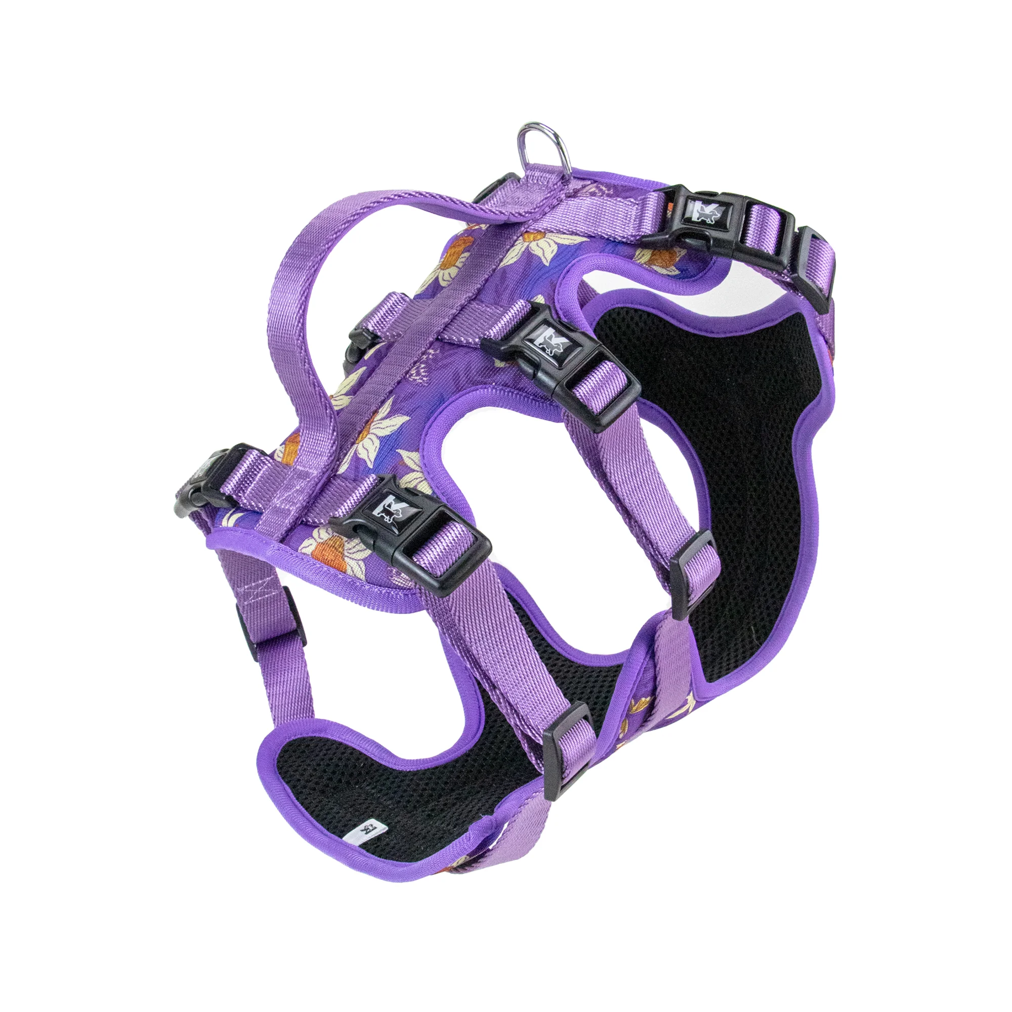 Drippy Pets CC Leash & Harness Set