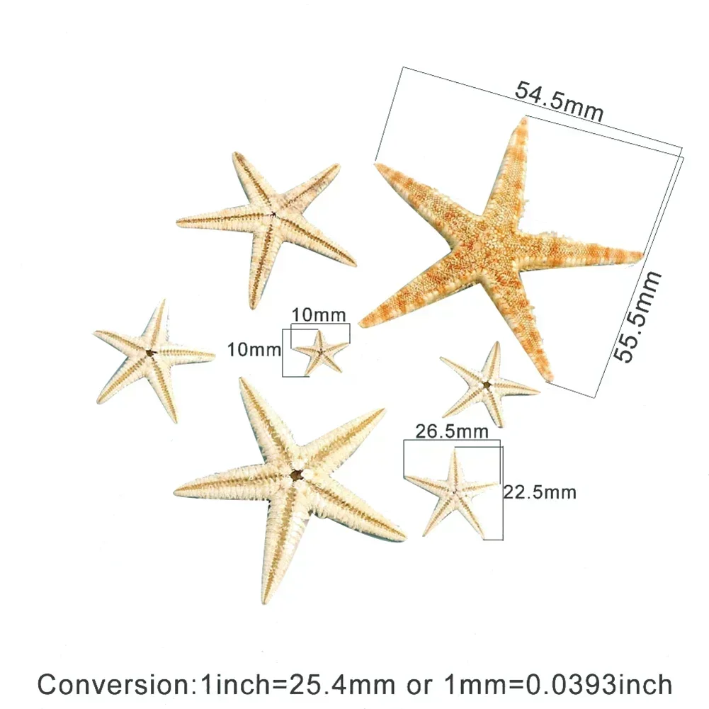 Starfish Natural Starfish Seashell Beach Craft Natural Sea Stars DIY Beach Wedding Decoration Crafts Home Decor 20/50/100pcs
