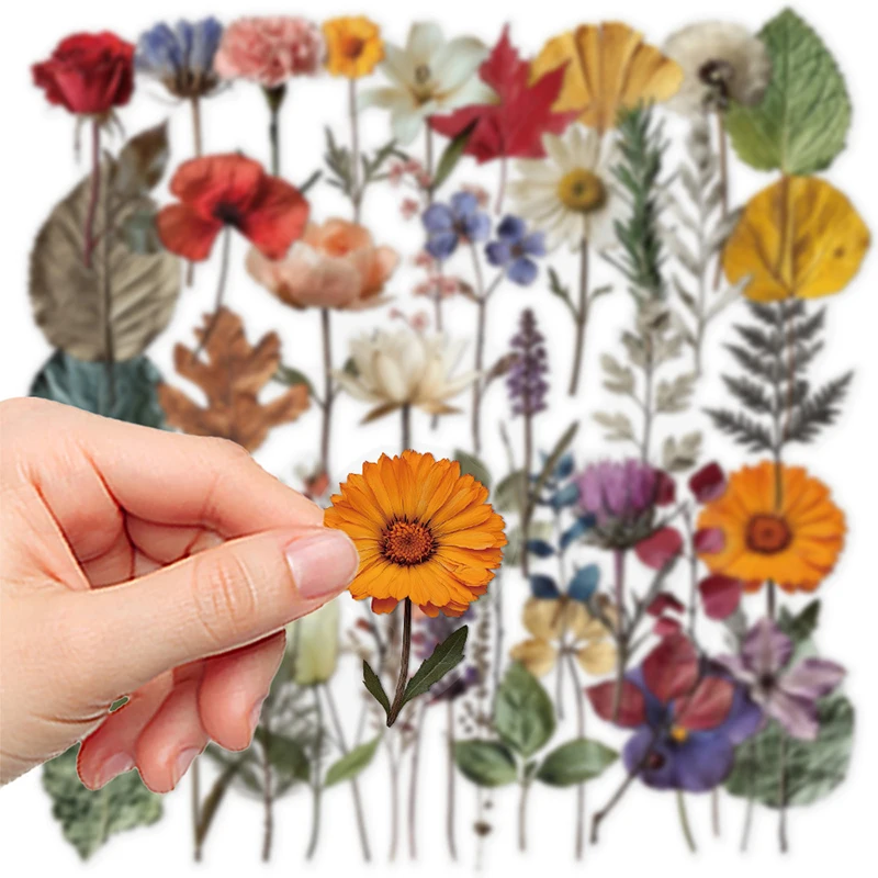 50PCS 크리 에이 티브 천연 식물 표본 스티커 노트북 기타 전화 노트북 편지지 장난감에 대한 PET 투명한 낙서 데칼