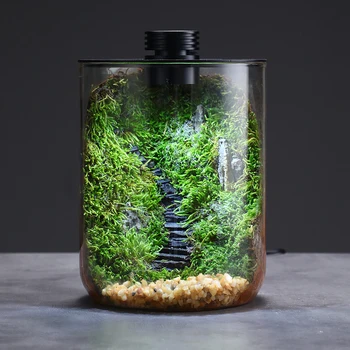 Micro Landscape Glass Terrarium 1