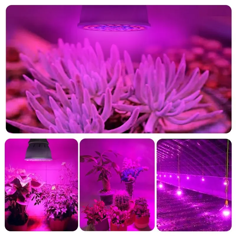 E27 60LED Full Spectrum Plant Grow Light