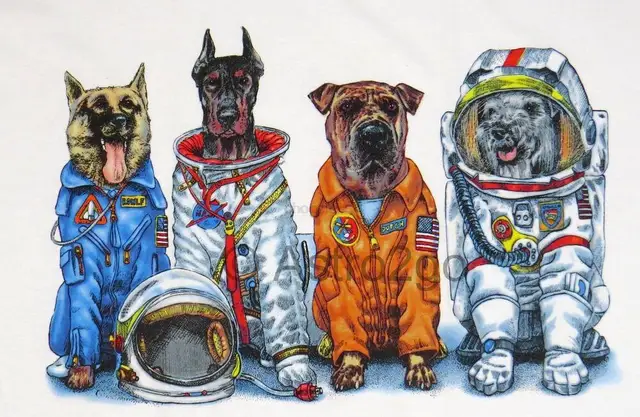 Camiseta de astronautas de DOGS--NASA espacial, trajes de vuelo, astronomía, ciencia, 2 caras, S-3XL + 1