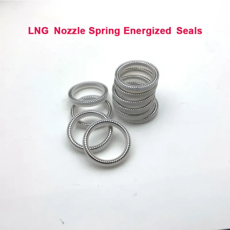 

UPE LNG Nozzle Spring Energized Seals with Gasket Dosing Gun stainless steel Spring Seal White 5pcs