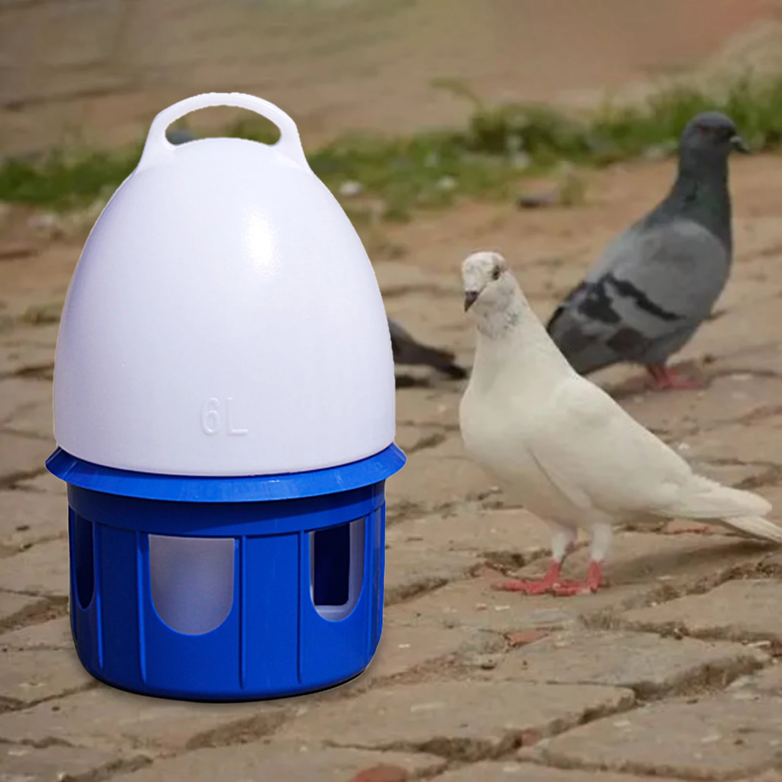 Bird Water Drinker Large Capacity Automatic Bird Water Dispenser Drinker Water Bottle Cage Accessories Feeding Pigeon Waterer for Dove Duck