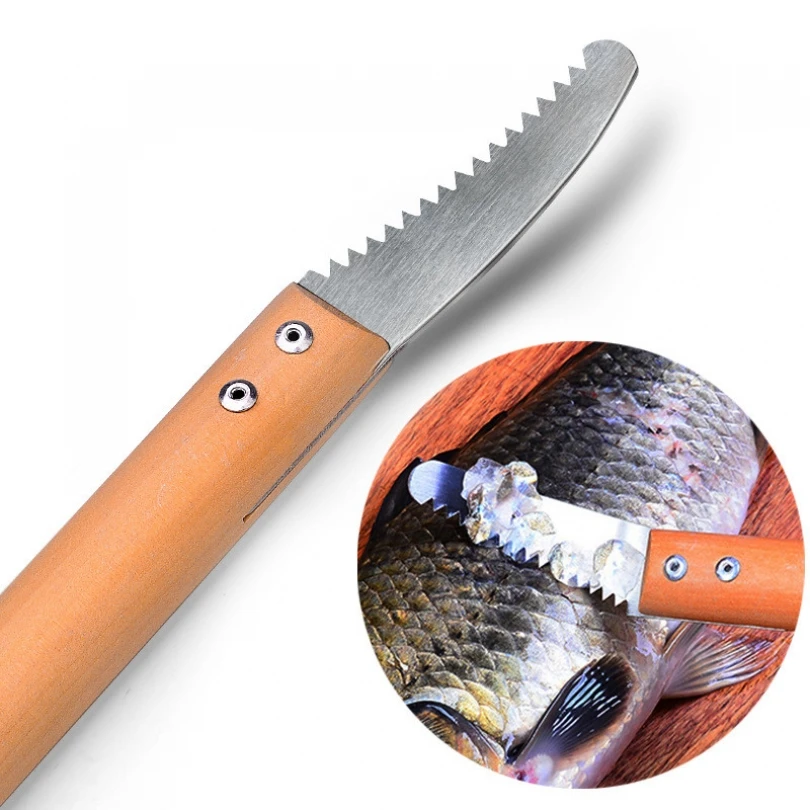 

Скребок для рыбы из нержавеющей стали прочный для обработки рыбы