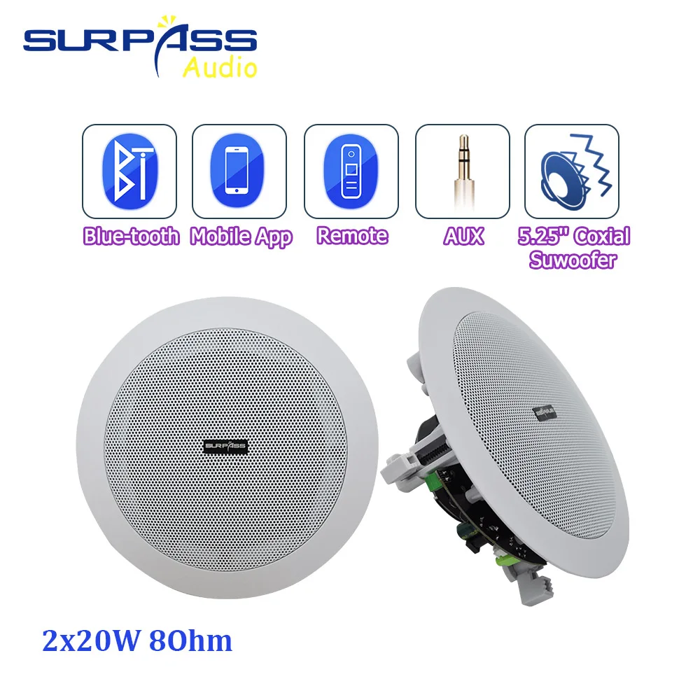 Bluetooth Active Wireless Ceiling Speaker Built in Class D Amplifier In