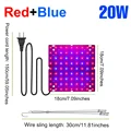 20W Red Blue
